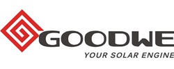 about goodwe 250x100