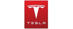 about tesla t 250x100